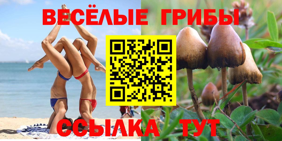 Балаково  Псилоцибиновые грибы Magic Shrooms  Вход с VPN 